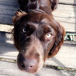 Meet your Posher, Alexis